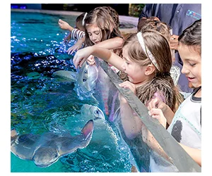 4 Free Tickets to SeaQuest Aquarium – Don't Miss Out