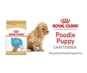 Free Royal Canin Breed Health Nutrition Poodle Puppy Dry Dog Food