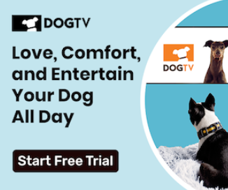 Get Your First Month Free Trial of DOGTV!