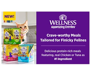 Free Wellness Appetizing Entrées Cat Food Sample!