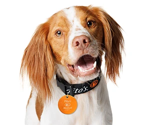 Free Tito’s Handmade Vodka Dog Collar Tag - Register Today!