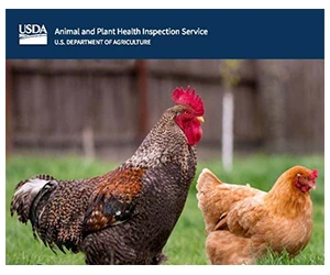 Free 2025 USDA Defend the Flock Chicken Calendar – Claim Yours Now!