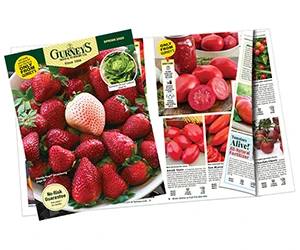 Free Gurney’s Seed & Nursery Catalog – Claim Yours Today!