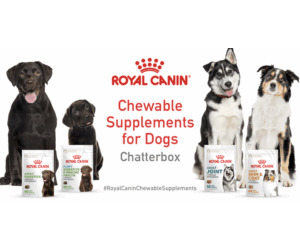 Free Royal Canin Chewable Supplements - For 2,000 Lucky Dog Parents!