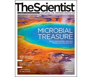 Free The Scientist Magazine 1-Year Subscription